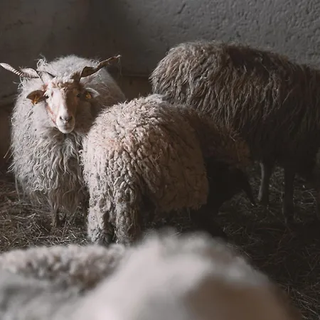 Brandgut - Vor Freude Glühen Gasthof